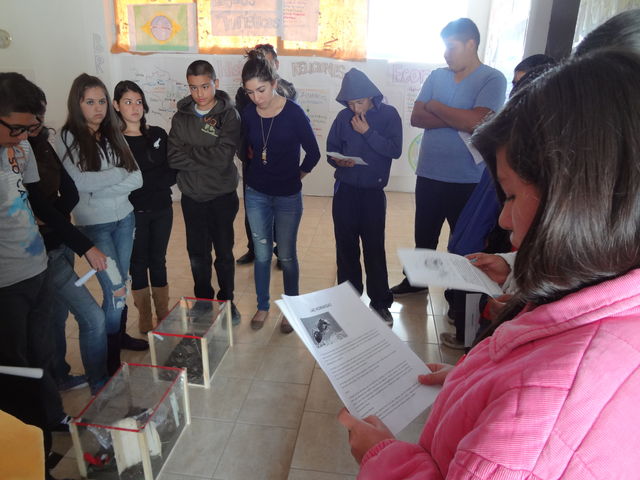 ECOSISTEMA, DIFERENTES TIPOS DE RESPIRACIÓN