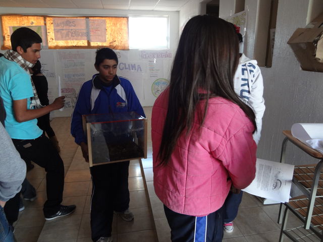 ECOSISTEMA, DIFERENTES TIPOS DE RESPIRACIÓN